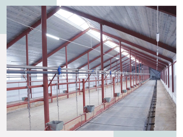 Строительство коровников в Балакове от 611 руб.