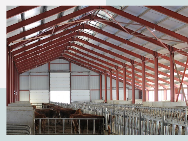 Строительство коровников в Балакове