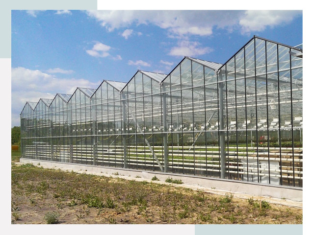 Строительство теплиц в Балаково от 611 руб. за м²