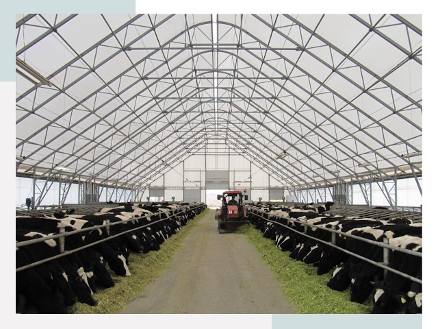 Тентовые коровники в Балакове от 611 руб. - Надежно и доступно